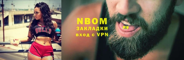 индика Алзамай