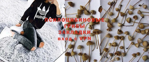 Альфа ПВП Армянск