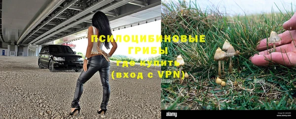 a pvp Аркадак
